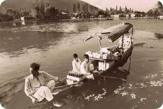 Green View Group Of Houseboats Otel Srīnagar Dış mekan fotoğraf